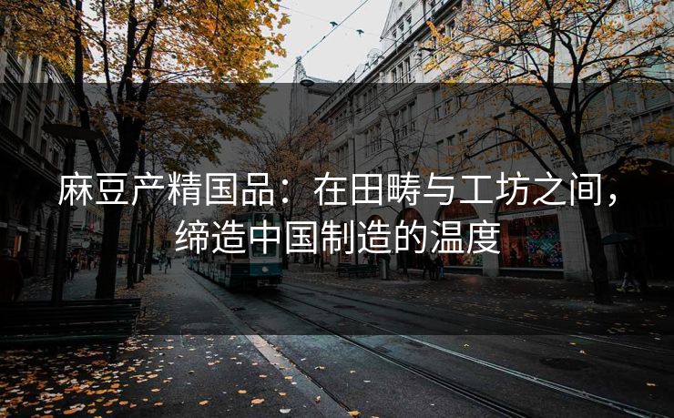麻豆产精国品：在田畴与工坊之间，缔造中国制造的温度