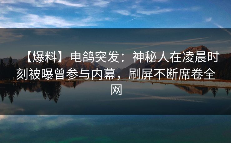 【爆料】电鸽突发：神秘人在凌晨时刻被曝曾参与内幕，刷屏不断席卷全网