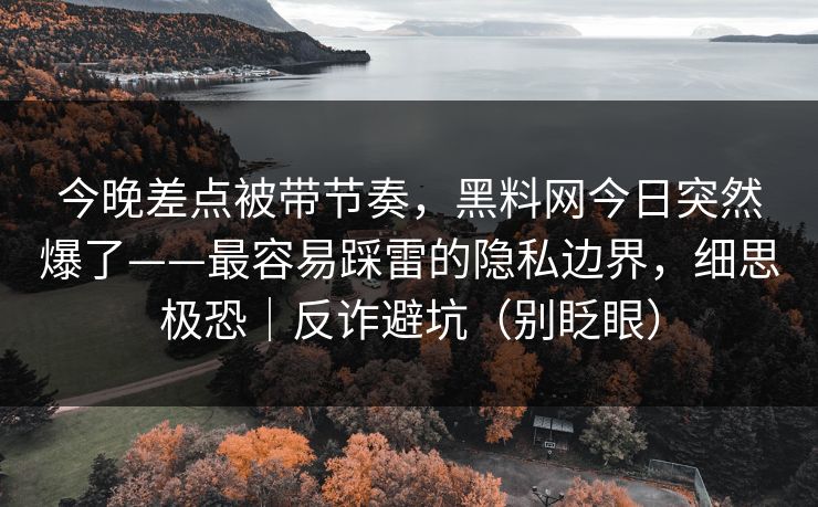 今晚差点被带节奏,黑料网今日突然爆了——最容易踩雷的隐私边界,细思极恐|反诈避坑(别眨眼)